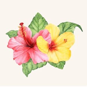 Meet your Posher, Karla